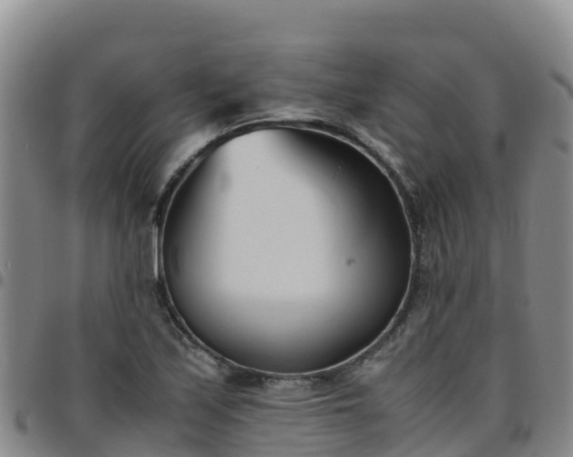 X0000096461171200801311506