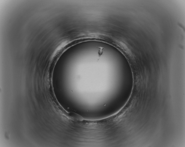X0000096461172200801311506