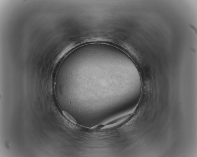 X0000096461173200801311505