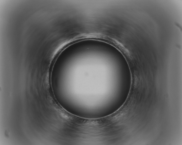 X0000096461174200801311505