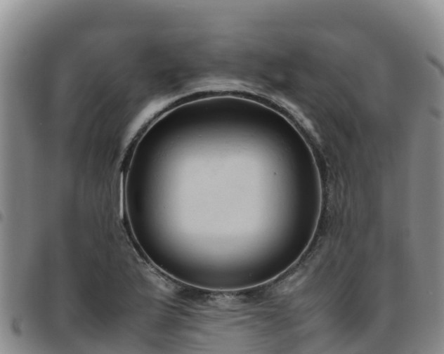 X0000096461175200801311505