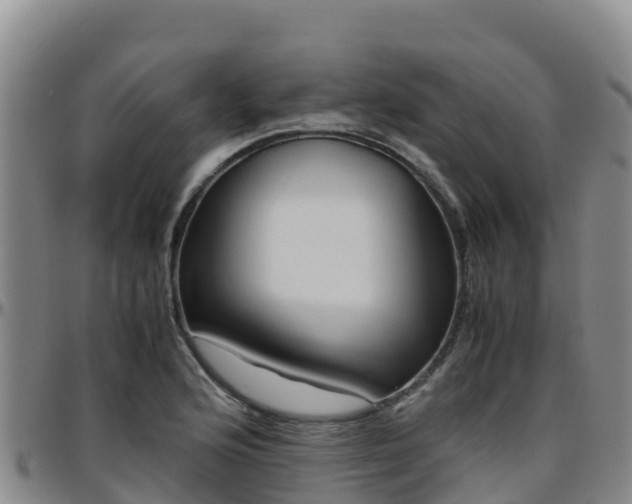 X0000096461176200801311505