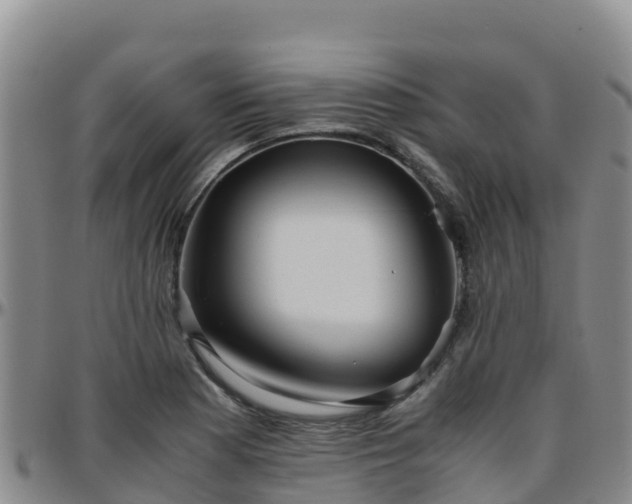 X0000096461177200801311505