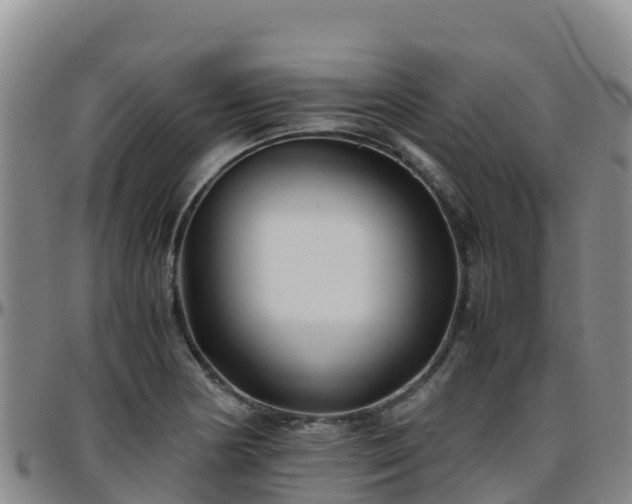 X0000096461178200801311505