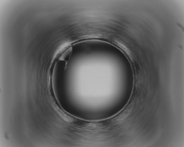 X0000096461179200801311505
