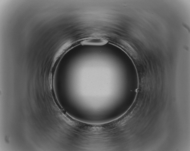 X0000096461180200801311505