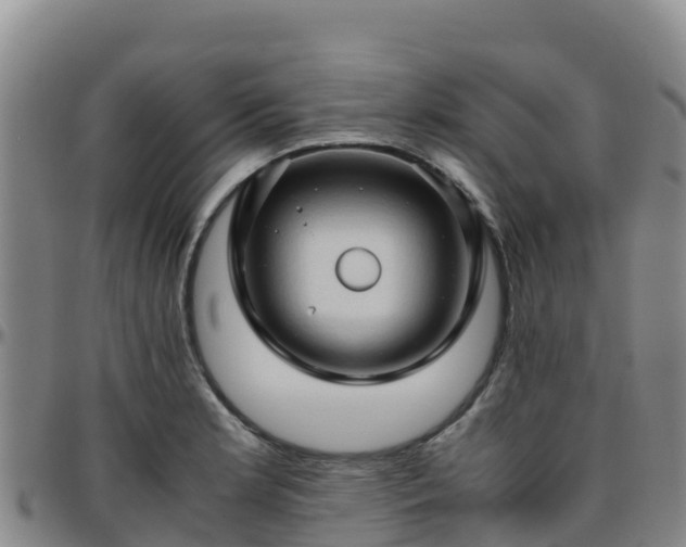 X0000096461181200801311505