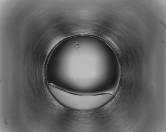 X0000096461182200801311505