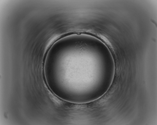 X0000096461183200801311505