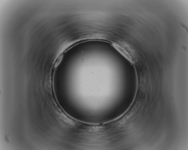X0000096461184200801311505