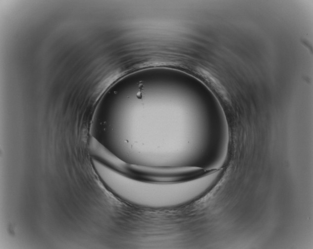 X0000096461185200801311505