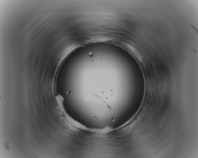 X0000096461186200801311505
