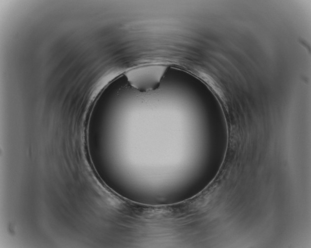 X0000096461187200801311505