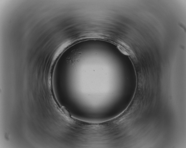 X0000096461188200801311505
