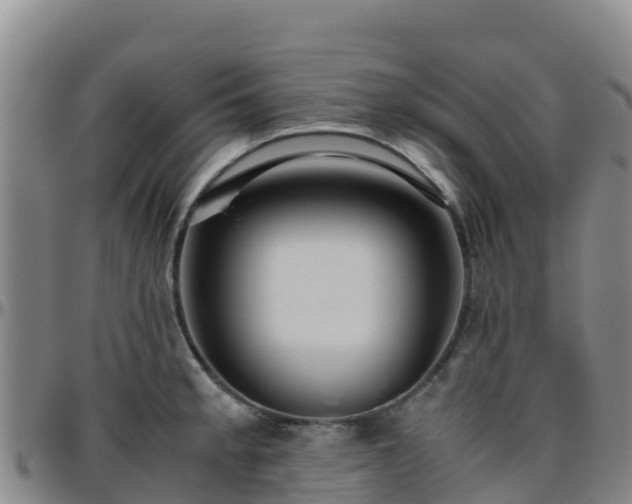 X0000096461189200801311505