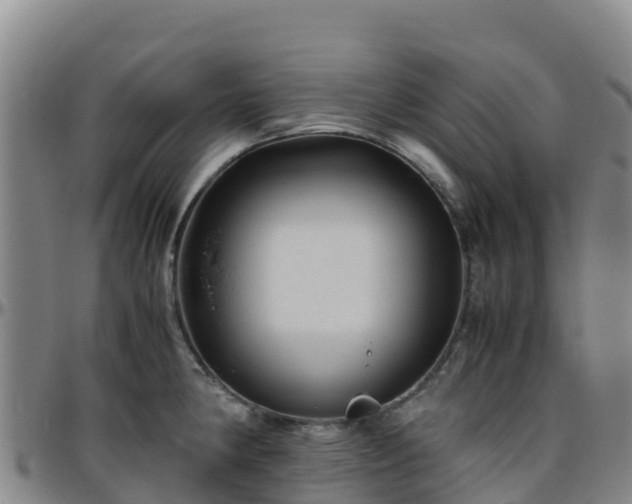 X0000096461190200801311505