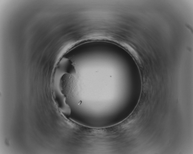X0000096461191200801311505