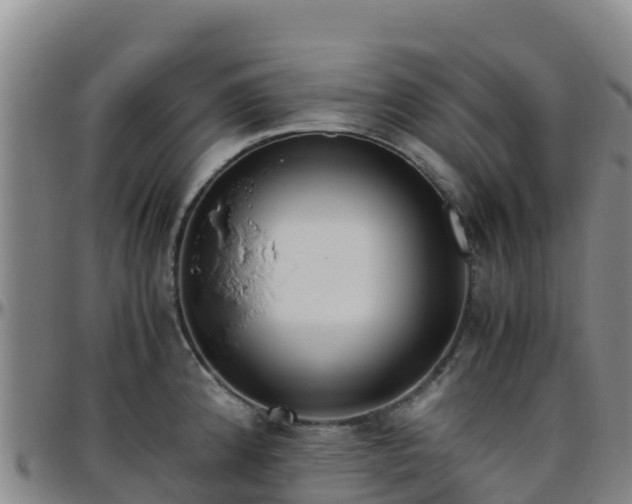 X0000096461192200801311505