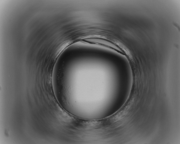 X0000096461193200801311505