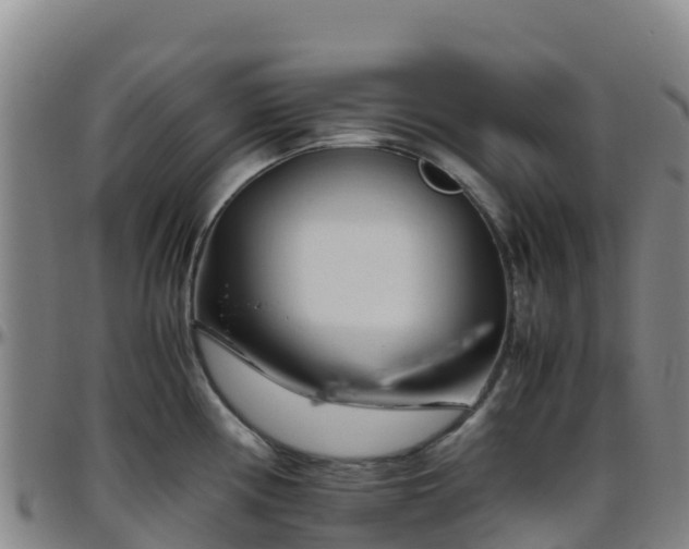 X0000096461194200801311505