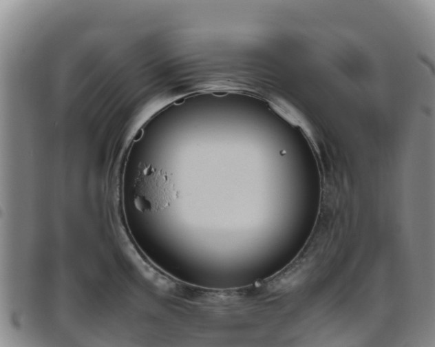X0000096461195200801311505