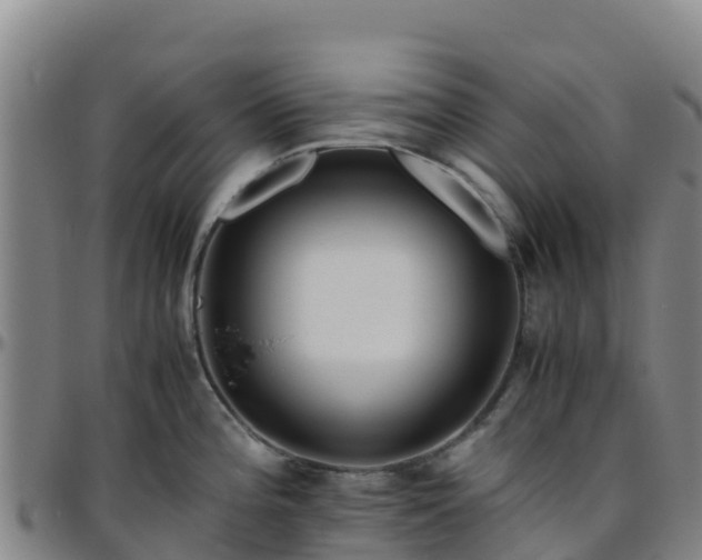 X0000096461196200801311505