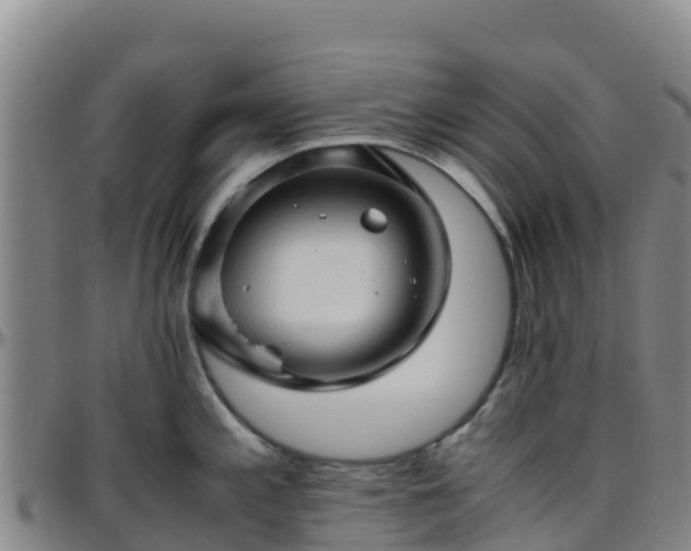 X0000096461197200801311505