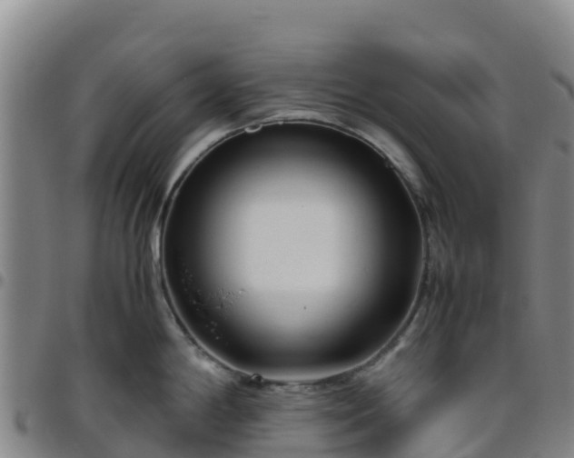 X0000096461198200801311505