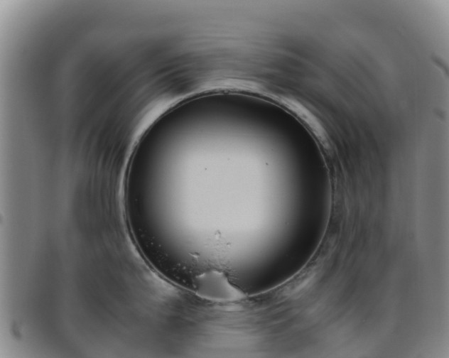 X0000096461199200801311505
