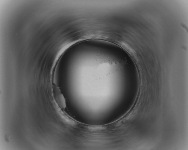 X0000096461200200801311505