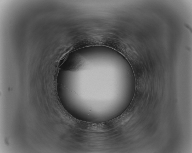 X0000096461201200801311504