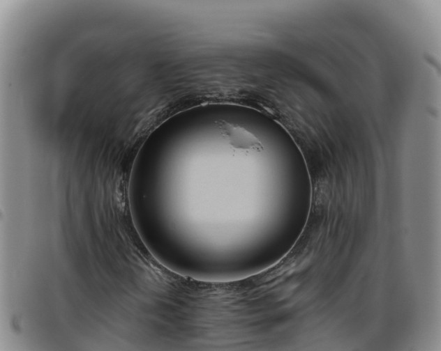 X0000096461202200801311504