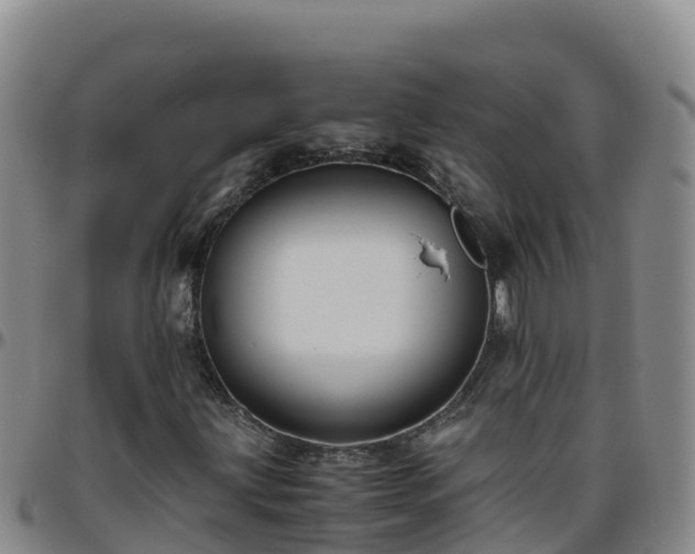 X0000096461203200801311504