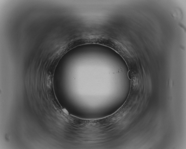 X0000096461204200801311504