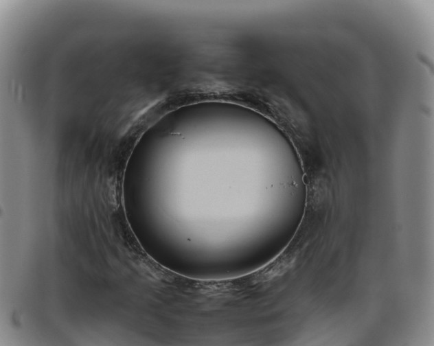 X0000096461205200801311505