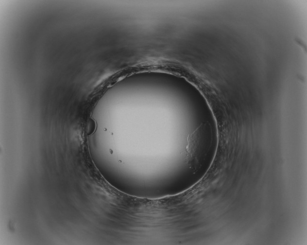 X0000096461206200801311505
