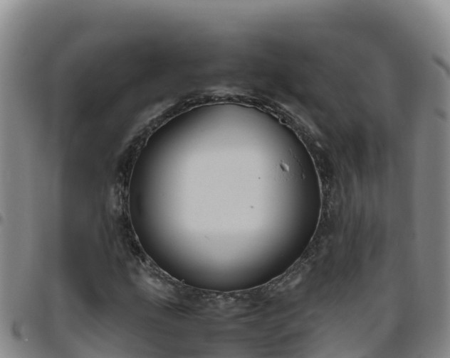 X0000096461207200801311505