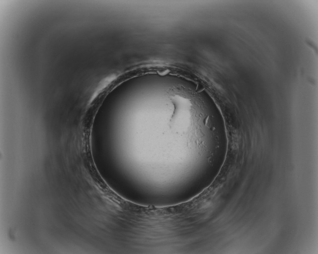 X0000096461208200801311505