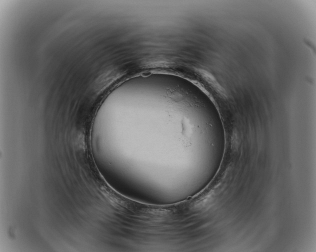 X0000096461209200801311505