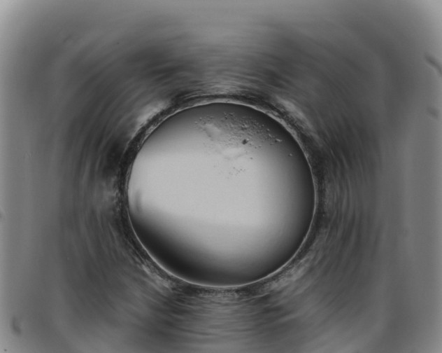 X0000096461210200801311505