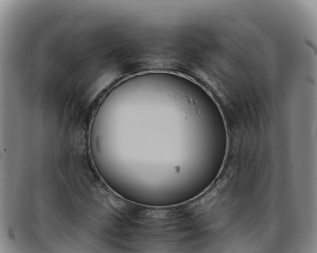 X0000096461211200801311505