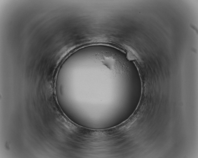 X0000096461212200801311505