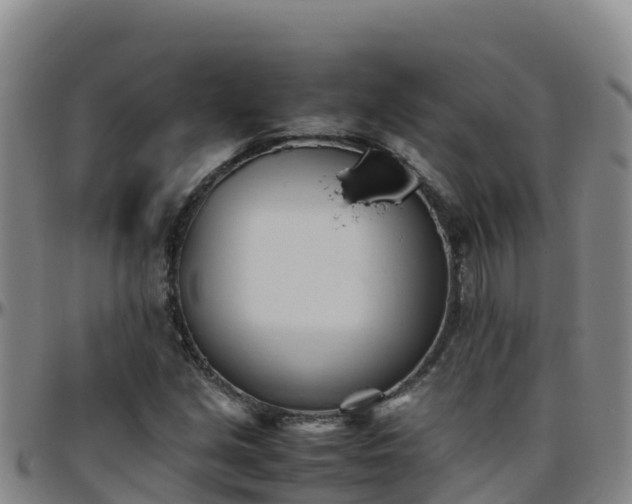 X0000096461213200801311505