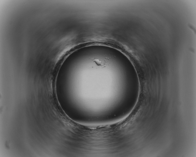 X0000096461214200801311505