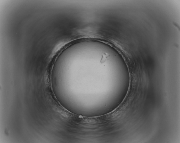 X0000096461215200801311505