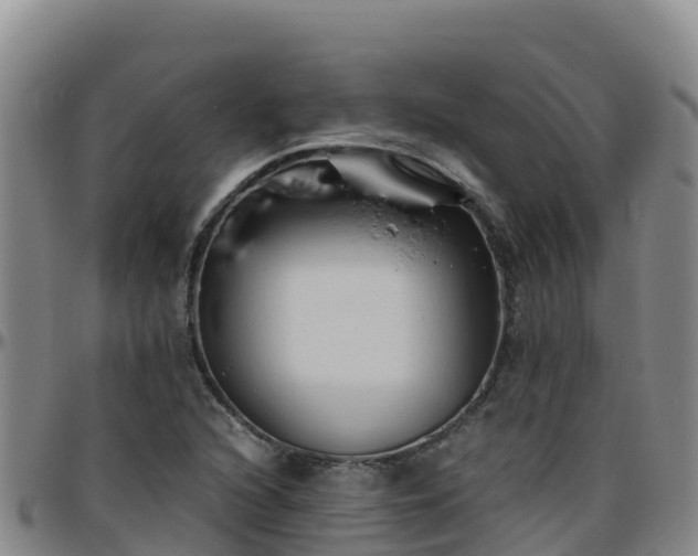 X0000096461216200801311505