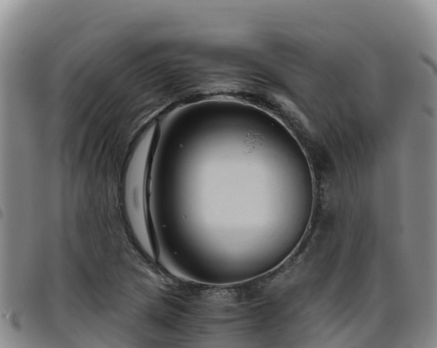 X0000096461217200801311505
