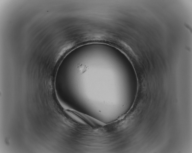 X0000096461218200801311505