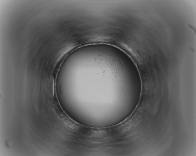 X0000096461219200801311505