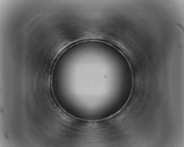 X0000096461220200801311505
